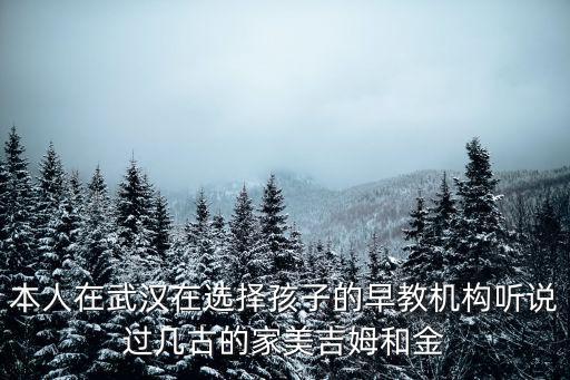 武汉 哪里 育婴师 好，武汉那家月嫂孕婴师培训机构好