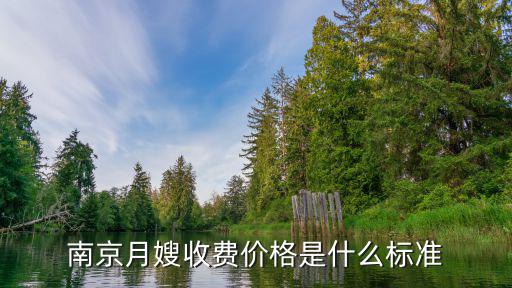 南京保姆多少钱，请问在南京现在请个全职保姆多少钱就是照顾孕妇谢谢各位