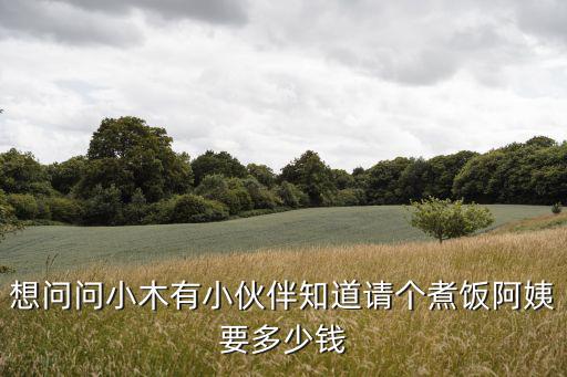 想问问小木有小伙伴知道请个煮饭阿姨要多少钱