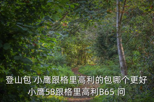 登山包 小鹰跟格里高利的包哪个更好小鹰58跟格里高利B65 问