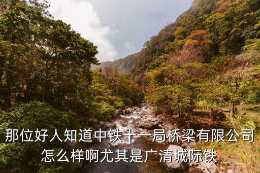 那位好人知道中铁十一局桥梁有限公司怎么样啊尤其是广清城际铁