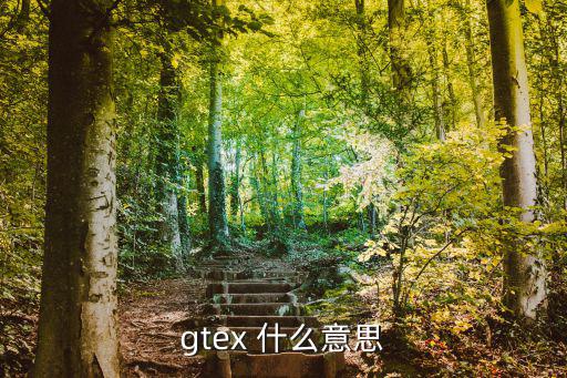 gtex 什么意思