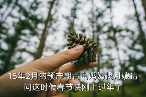 育儿嫂工资什么时候付，带孩子旅游还要付育儿嫂工资吗