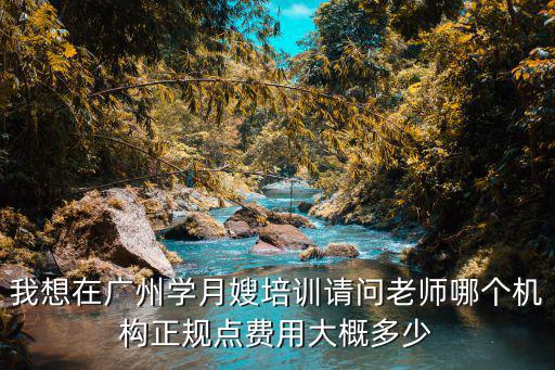 我想在广州学月嫂培训请问老师哪个机构正规点费用大概多少