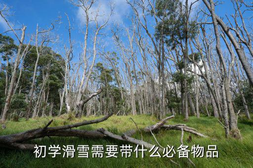 初学滑雪需要带什么必备物品