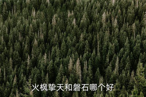 火枫挚天和磐石哪个好