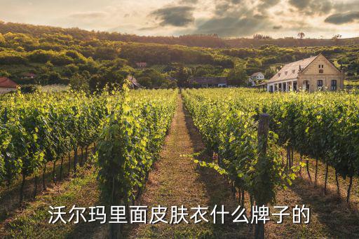 沃尔玛里面皮肤衣什么牌子的