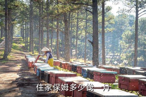 天津大港住家保姆 工资多少钱，住家保姆一个月工资多少