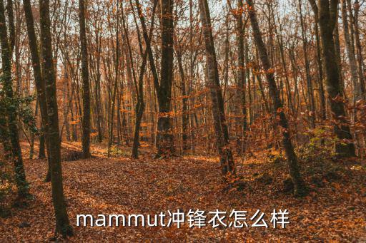 猛犸象棉服怎么样，mammut冲锋衣怎么样