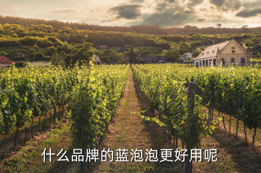 什么品牌的蓝泡泡更好用呢