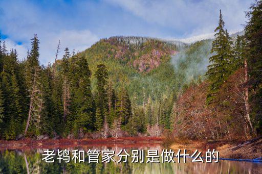 老鸨和管家分别是做什么的