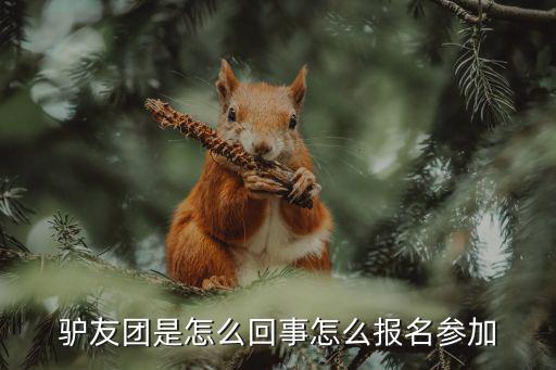 驴友团是怎么回事怎么报名参加
