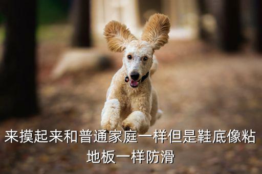 鞋底防滑摸什么，打篮球时怎样避免球鞋在地板上打滑拜托各位大神