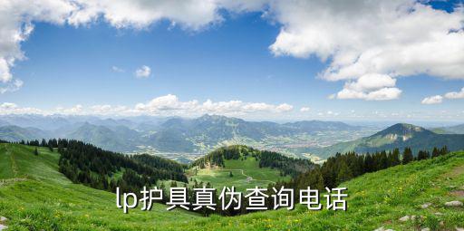 lp护膝怎么查真伪，LP怎么查啊