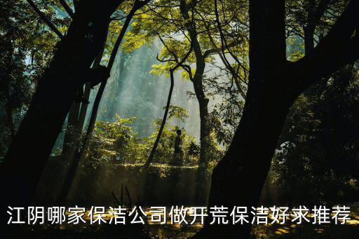 江阴哪家保洁公司做开荒保洁好求推荐