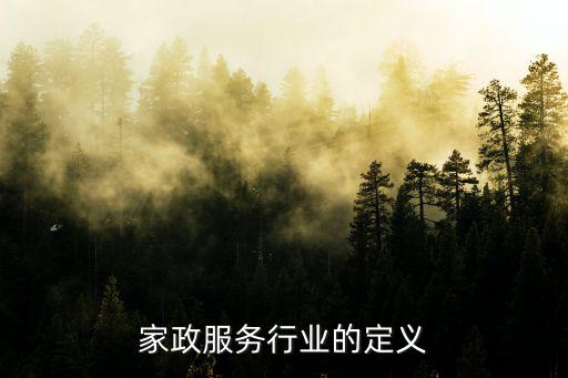 家政服务是什么意思，家政服务行业的定义