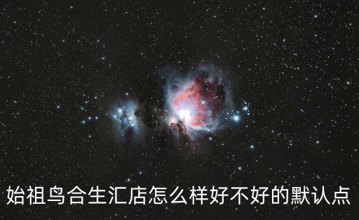始祖鸟合生汇店怎么样好不好的默认点