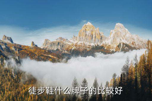 徒步鞋什么牌子的比较好
