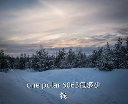 one polar 6063包多少钱