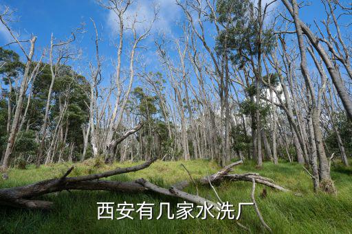 西安有几家水洗厂