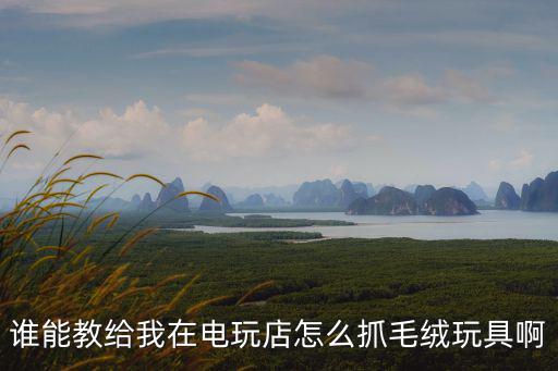 谁能教给我在电玩店怎么抓毛绒玩具啊