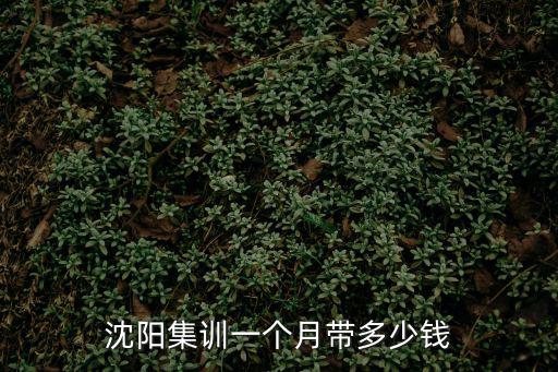 沈阳集训一个月带多少钱