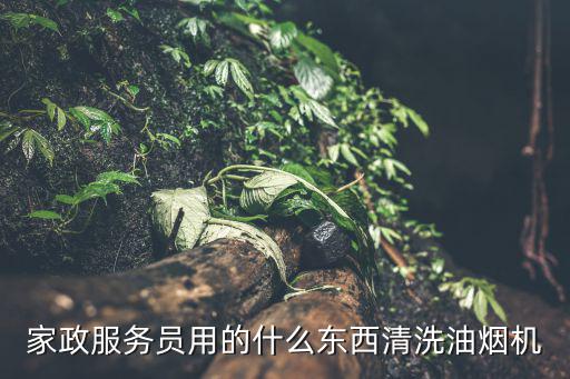 家政服务员用的什么东西清洗油烟机