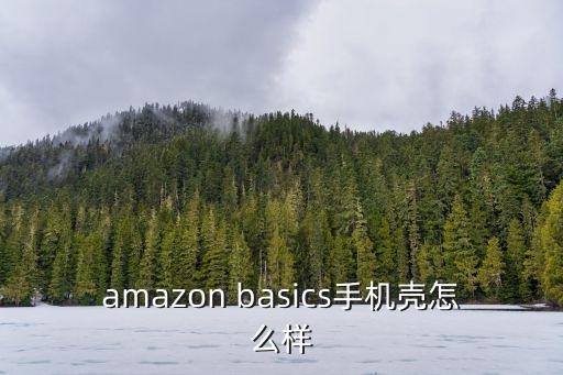 amazon basics手机壳怎么样