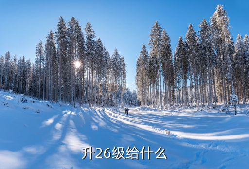 26升的背包装什么，升26级给什么