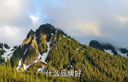 什么品牌好