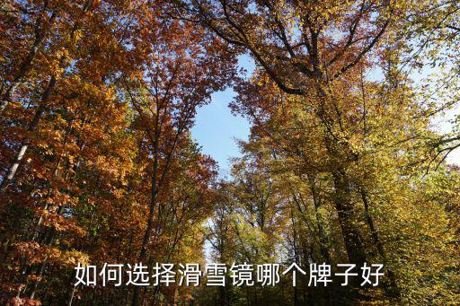 如何选择滑雪镜哪个牌子好