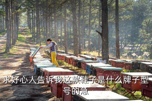 求好心人告诉我这款鞋子是什么牌子型号的急