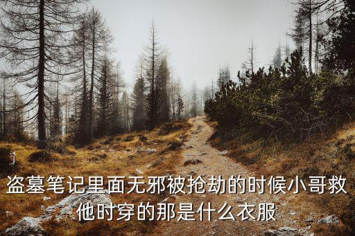 盗墓笔记里面无邪被抢劫的时候小哥救他时穿的那是什么衣服