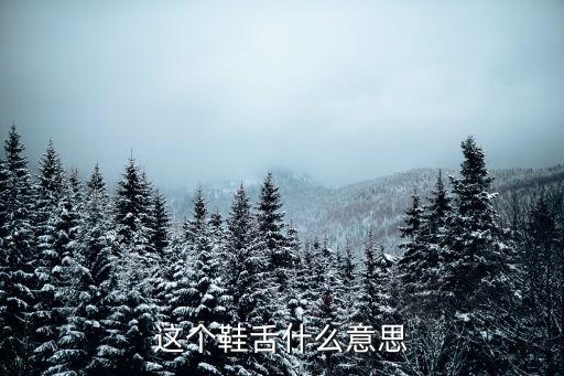 这个鞋舌什么意思
