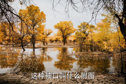 这种袖口叫什么附图