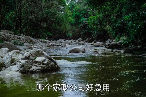 有什么家政公司做得好，哪个家政公司好急用