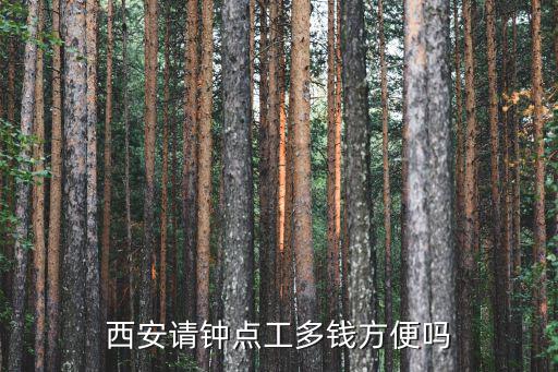 西安请钟点工多钱方便吗