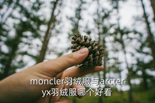 moncler羽绒服与arcteryx羽绒服哪个好看