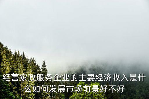 家政公司一年赚多少，家政人员4小时正常班应拿多少工资