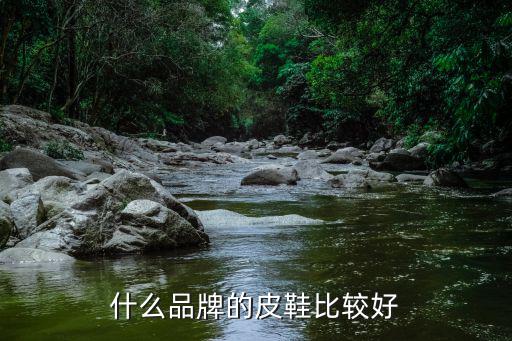 皮鞋什么牌子性价比高，什么牌子皮鞋性价比高