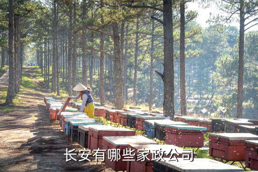 长安有哪些家政公司
