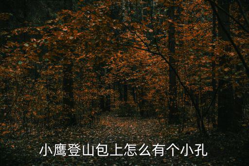 小鹰登山包上怎么有个小孔
