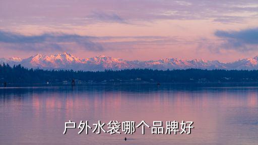 驼峰 和 source水袋哪个好 论坛，contigo和驼峰吸管杯哪个好