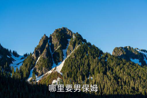 武汉哪里招男保姆，有招男保姆的吗