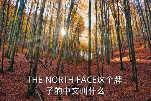 THE NORTH FACE这个牌子的中文叫什么