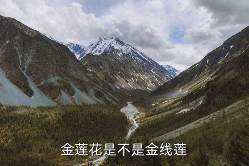 金莲花是不是金线莲
