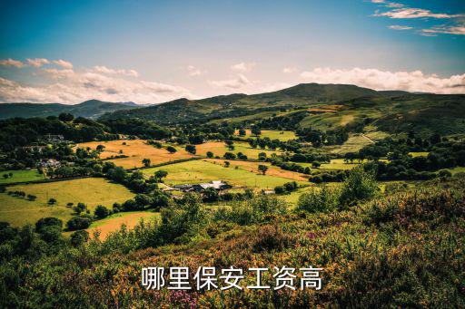 哪个城市的保姆工资高，哪个城市保安工资最高