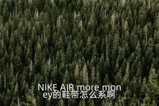 NIKE AIR more money的鞋带怎么系啊