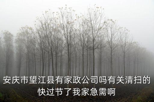 安庆市望江县有家政公司吗有关清扫的快过节了我家急需啊