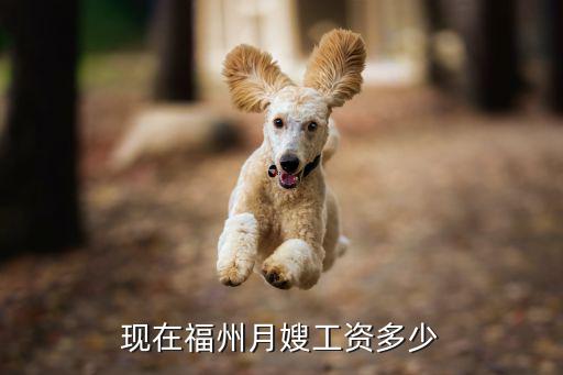 现在福州月嫂工资多少